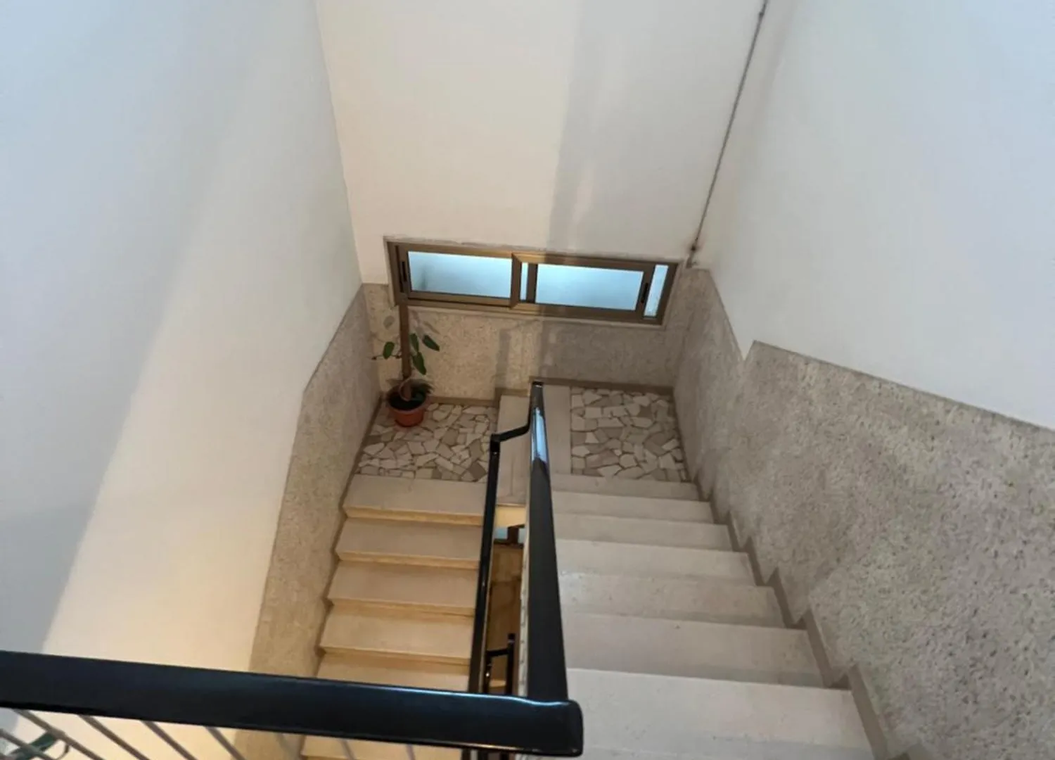 Affittacamere Lupo Luxury Rooms Bologna